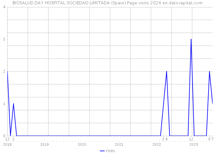 BIOSALUD DAY HOSPITAL SOCIEDAD LIMITADA (Spain) Page visits 2024 