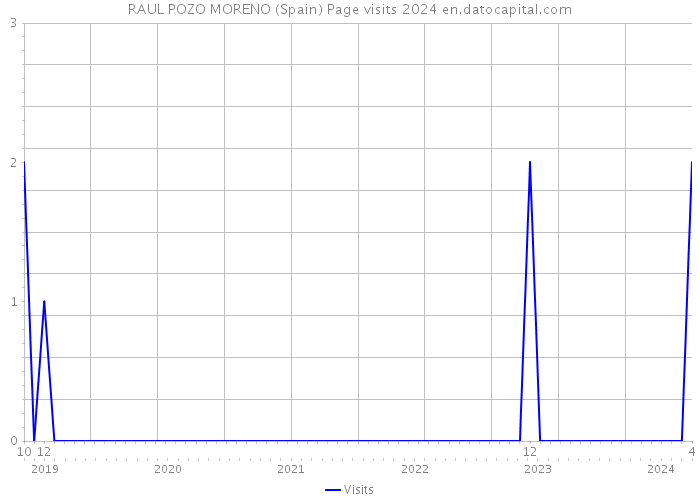 RAUL POZO MORENO (Spain) Page visits 2024 