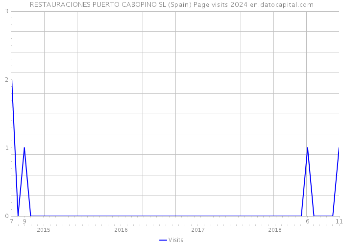 RESTAURACIONES PUERTO CABOPINO SL (Spain) Page visits 2024 