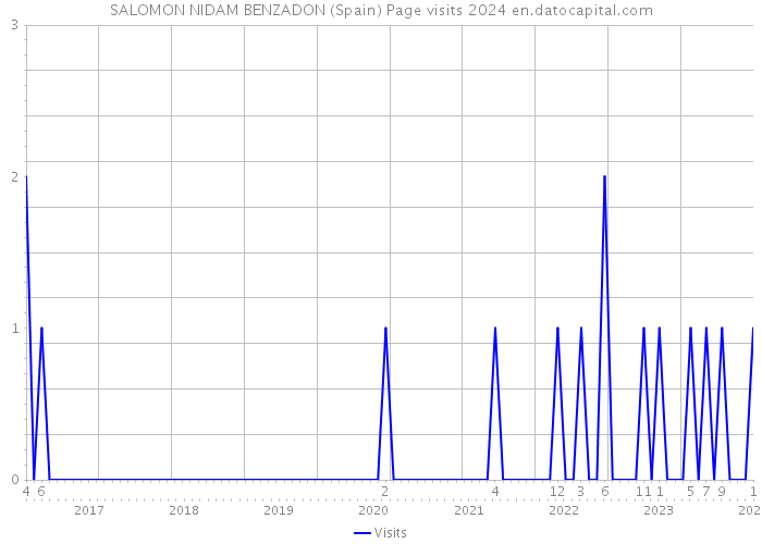 SALOMON NIDAM BENZADON (Spain) Page visits 2024 