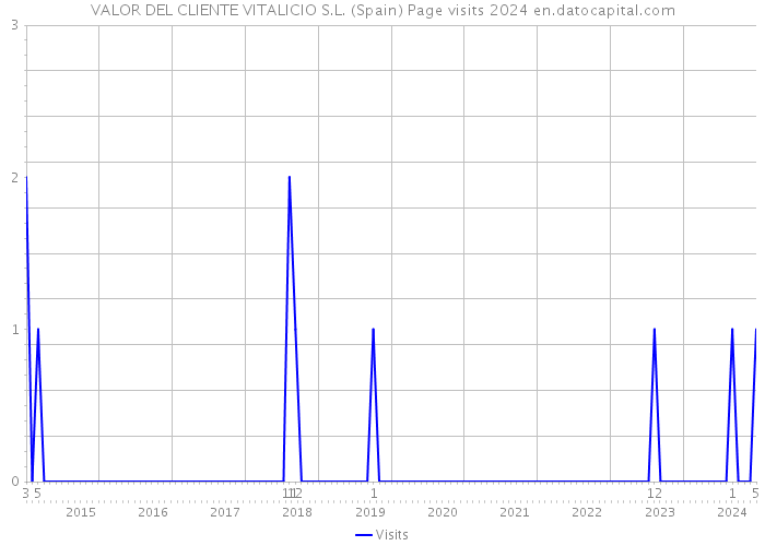 VALOR DEL CLIENTE VITALICIO S.L. (Spain) Page visits 2024 