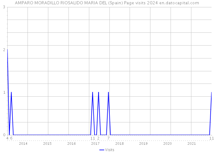 AMPARO MORADILLO RIOSALIDO MARIA DEL (Spain) Page visits 2024 