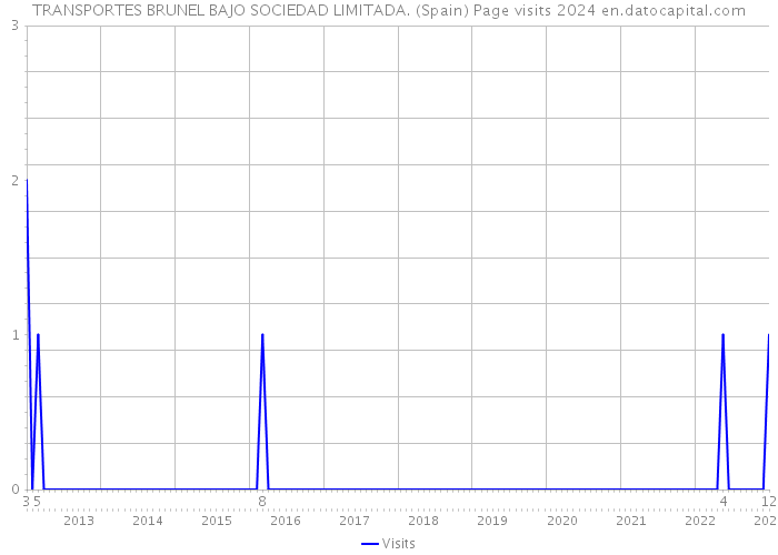 TRANSPORTES BRUNEL BAJO SOCIEDAD LIMITADA. (Spain) Page visits 2024 