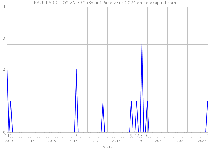 RAUL PARDILLOS VALERO (Spain) Page visits 2024 