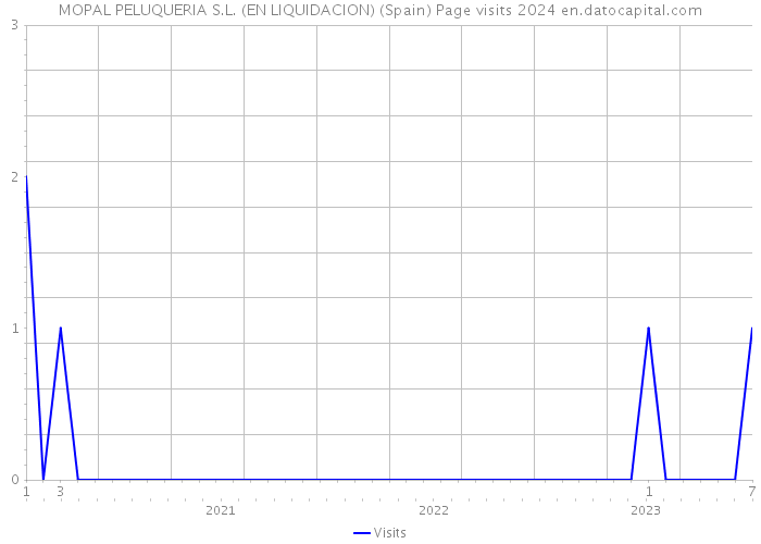 MOPAL PELUQUERIA S.L. (EN LIQUIDACION) (Spain) Page visits 2024 