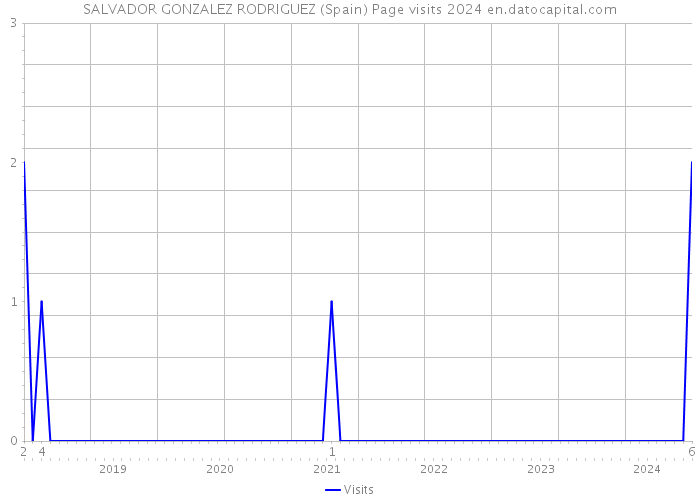 SALVADOR GONZALEZ RODRIGUEZ (Spain) Page visits 2024 