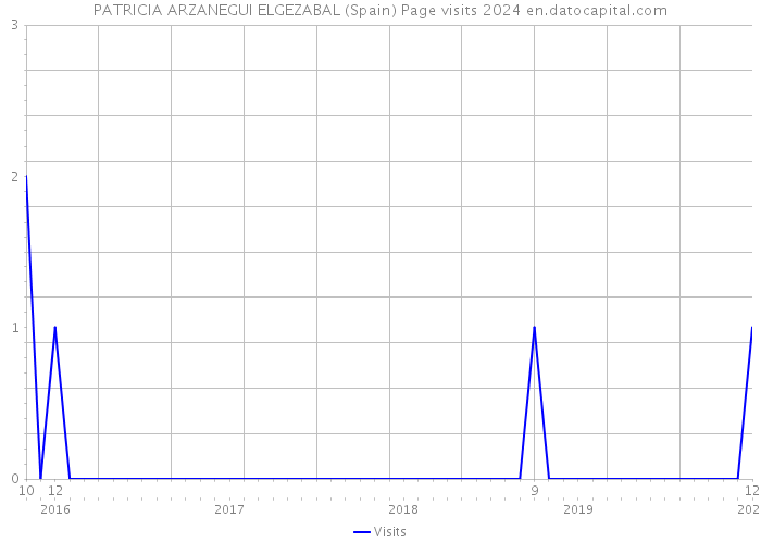 PATRICIA ARZANEGUI ELGEZABAL (Spain) Page visits 2024 