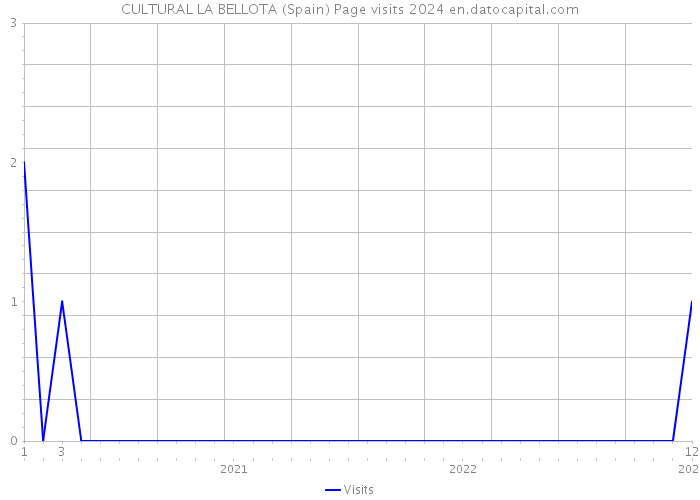 CULTURAL LA BELLOTA (Spain) Page visits 2024 