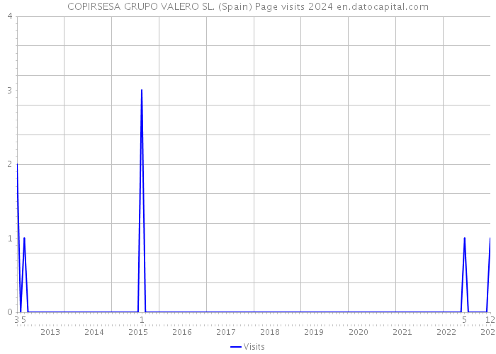 COPIRSESA GRUPO VALERO SL. (Spain) Page visits 2024 