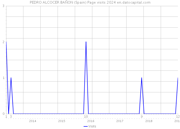 PEDRO ALCOCER BAÑON (Spain) Page visits 2024 
