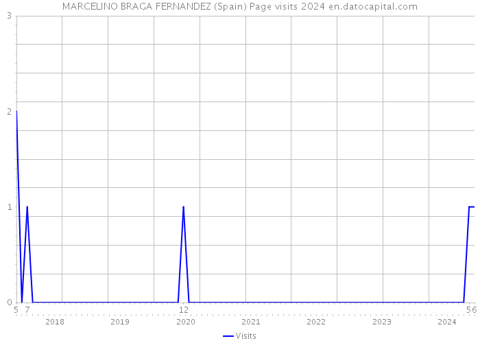 MARCELINO BRAGA FERNANDEZ (Spain) Page visits 2024 