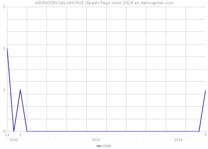 ASUNCION GALVAN RUZ (Spain) Page visits 2024 