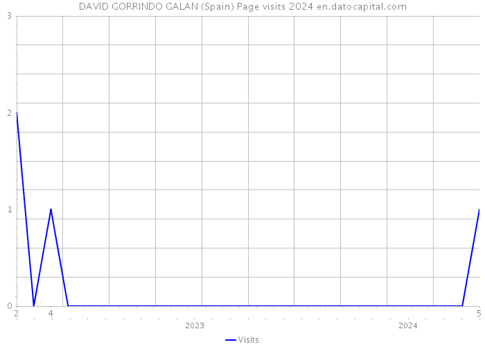 DAVID GORRINDO GALAN (Spain) Page visits 2024 