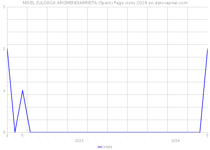MIKEL ZULOAGA ARIZMENDIARRIETA (Spain) Page visits 2024 