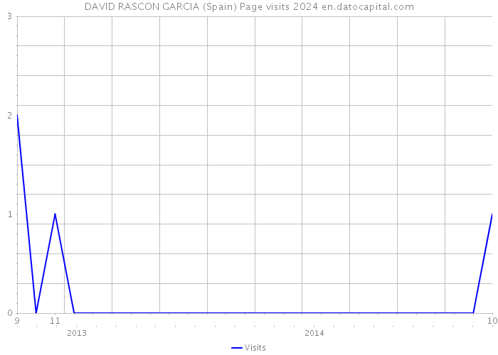 DAVID RASCON GARCIA (Spain) Page visits 2024 