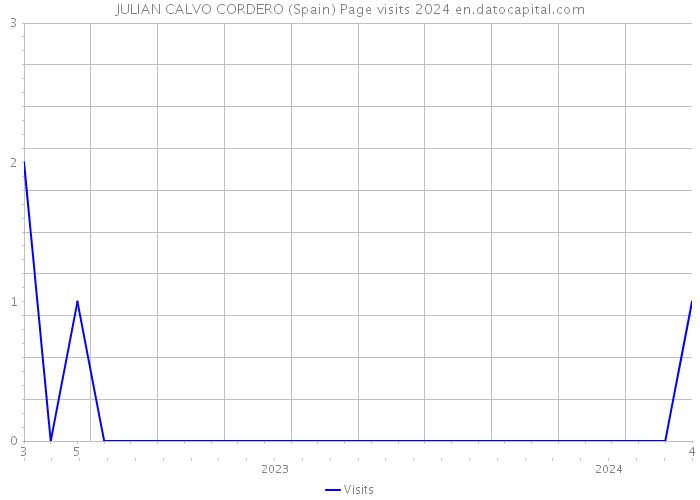 JULIAN CALVO CORDERO (Spain) Page visits 2024 