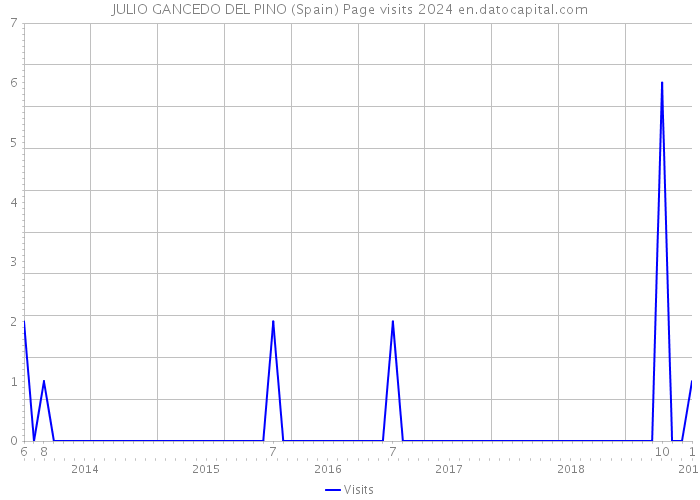 JULIO GANCEDO DEL PINO (Spain) Page visits 2024 