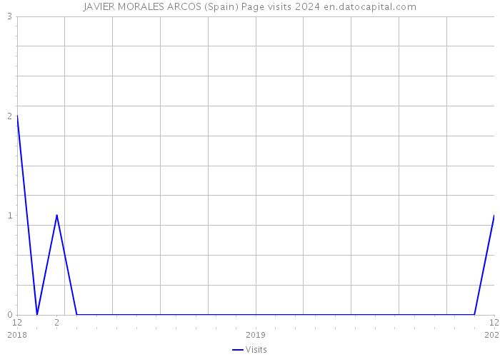 JAVIER MORALES ARCOS (Spain) Page visits 2024 