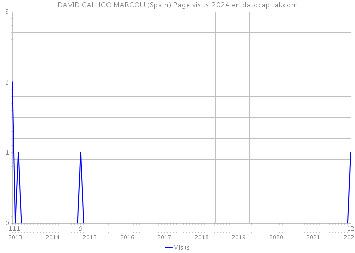 DAVID CALLICO MARCOU (Spain) Page visits 2024 