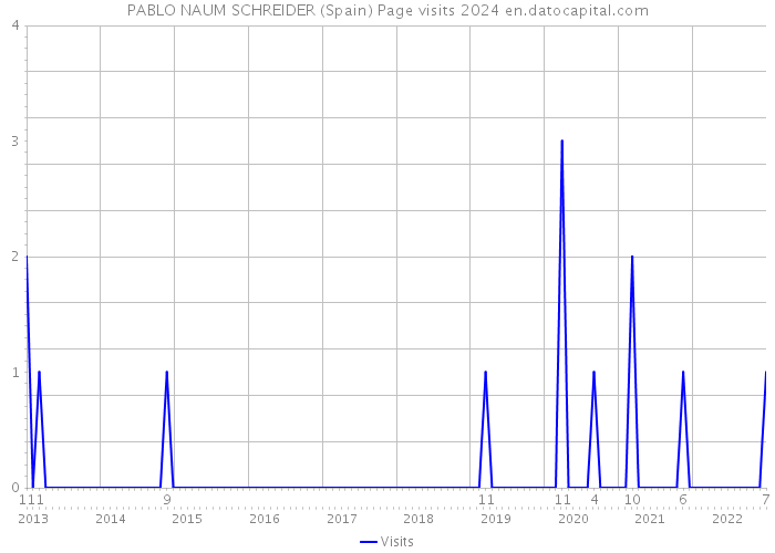 PABLO NAUM SCHREIDER (Spain) Page visits 2024 