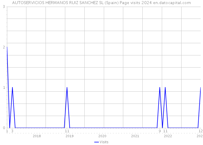 AUTOSERVICIOS HERMANOS RUIZ SANCHEZ SL (Spain) Page visits 2024 