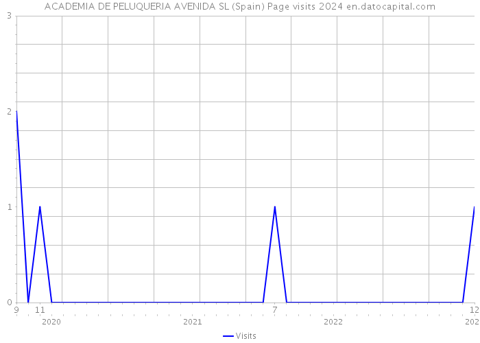 ACADEMIA DE PELUQUERIA AVENIDA SL (Spain) Page visits 2024 