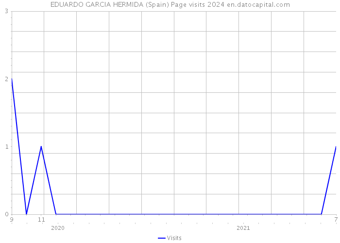 EDUARDO GARCIA HERMIDA (Spain) Page visits 2024 