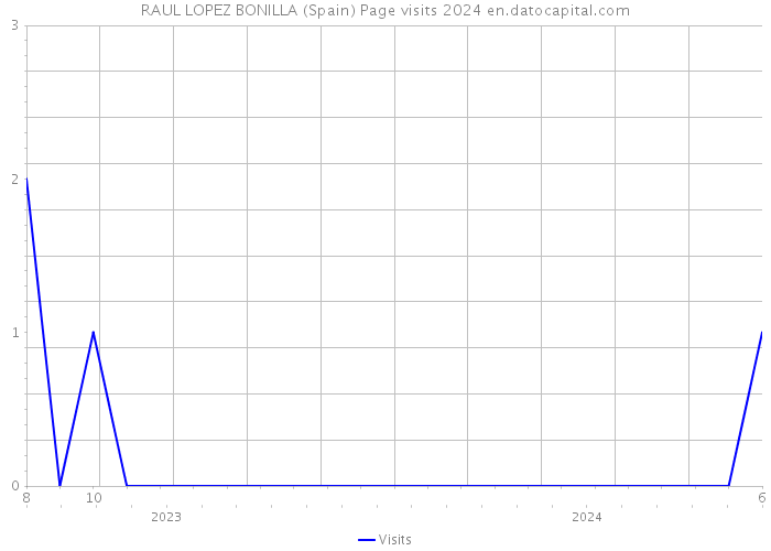 RAUL LOPEZ BONILLA (Spain) Page visits 2024 