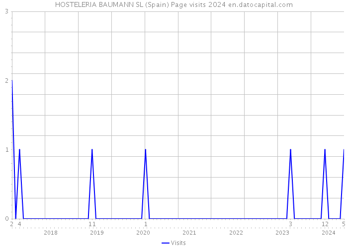 HOSTELERIA BAUMANN SL (Spain) Page visits 2024 