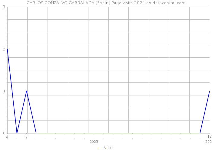 CARLOS GONZALVO GARRALAGA (Spain) Page visits 2024 