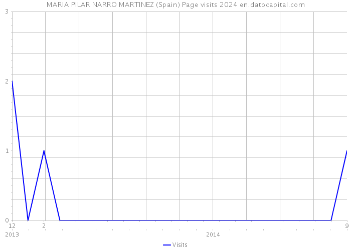 MARIA PILAR NARRO MARTINEZ (Spain) Page visits 2024 