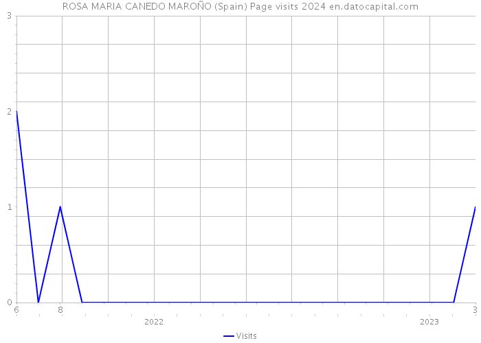 ROSA MARIA CANEDO MAROÑO (Spain) Page visits 2024 