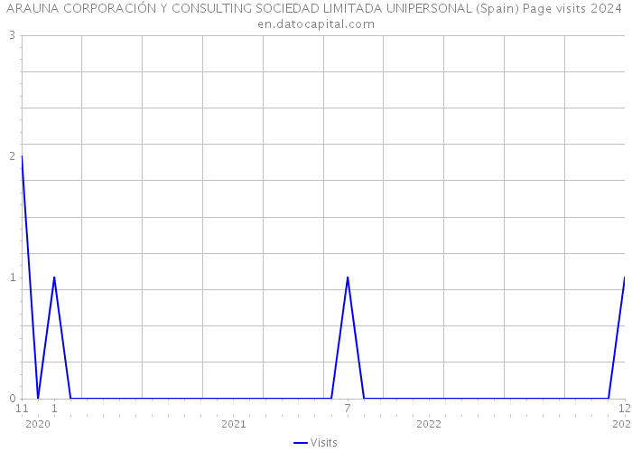 ARAUNA CORPORACIÓN Y CONSULTING SOCIEDAD LIMITADA UNIPERSONAL (Spain) Page visits 2024 