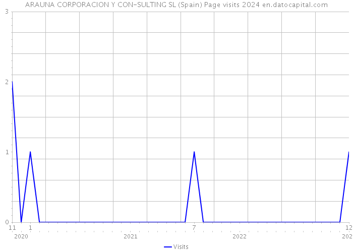 ARAUNA CORPORACION Y CON-SULTING SL (Spain) Page visits 2024 