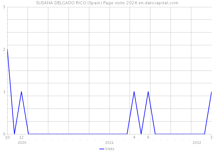 SUSANA DELGADO RICO (Spain) Page visits 2024 