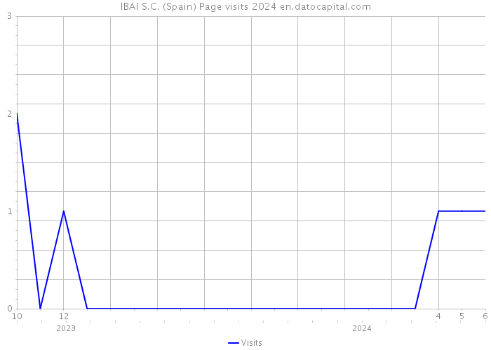 IBAI S.C. (Spain) Page visits 2024 