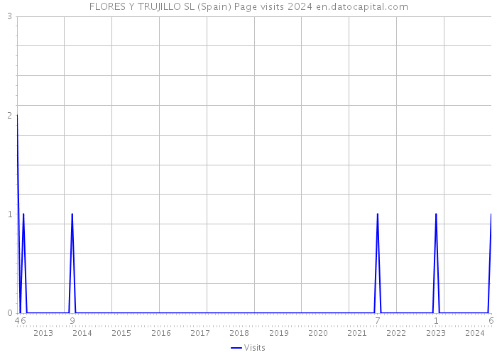 FLORES Y TRUJILLO SL (Spain) Page visits 2024 