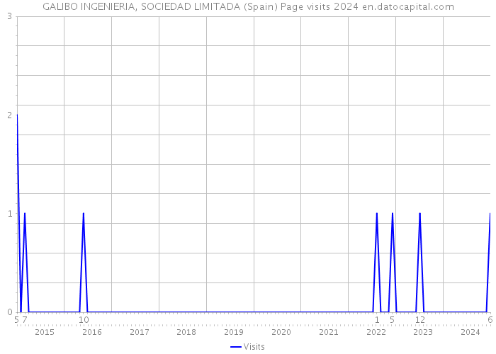 GALIBO INGENIERIA, SOCIEDAD LIMITADA (Spain) Page visits 2024 