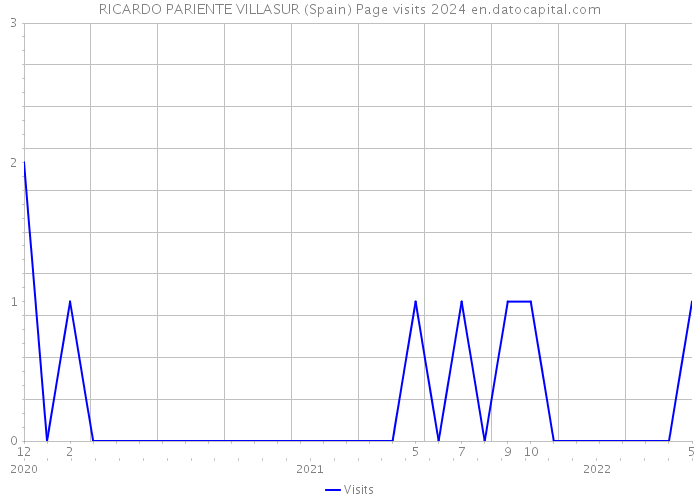 RICARDO PARIENTE VILLASUR (Spain) Page visits 2024 