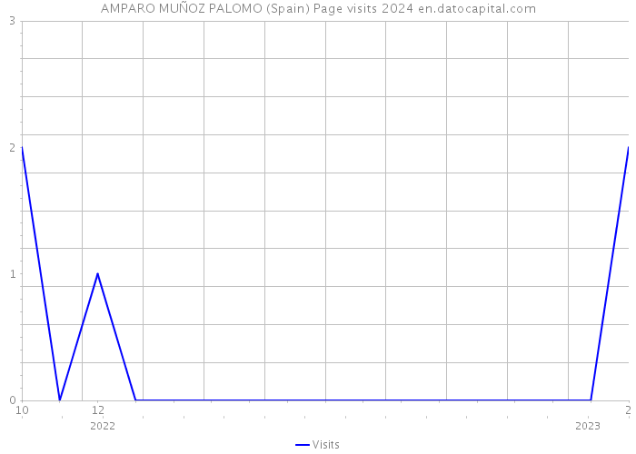 AMPARO MUÑOZ PALOMO (Spain) Page visits 2024 