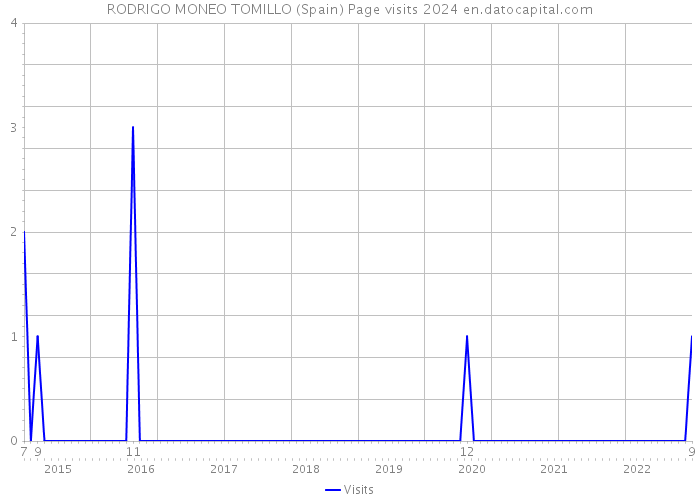 RODRIGO MONEO TOMILLO (Spain) Page visits 2024 