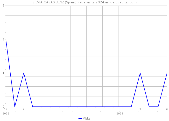 SILVIA CASAS BENZ (Spain) Page visits 2024 
