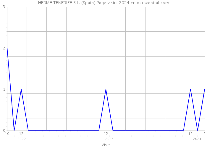 HERME TENERIFE S.L. (Spain) Page visits 2024 