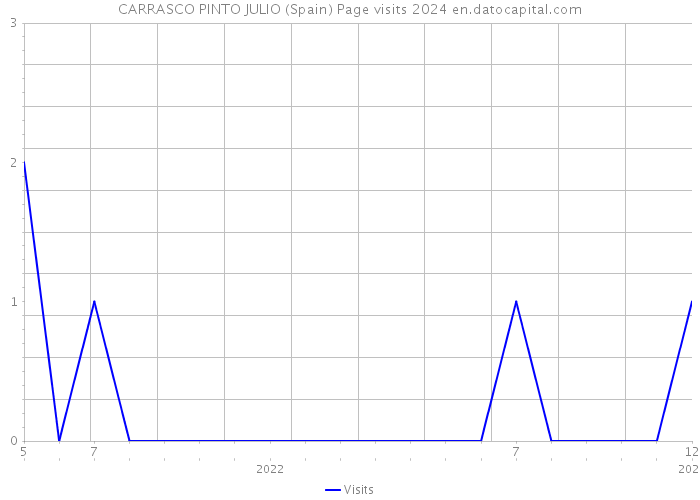 CARRASCO PINTO JULIO (Spain) Page visits 2024 