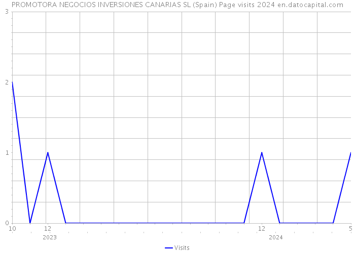 PROMOTORA NEGOCIOS INVERSIONES CANARIAS SL (Spain) Page visits 2024 