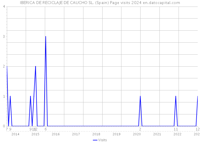 IBERICA DE RECICLAJE DE CAUCHO SL. (Spain) Page visits 2024 