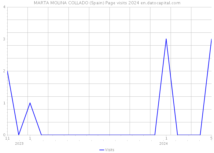 MARTA MOLINA COLLADO (Spain) Page visits 2024 
