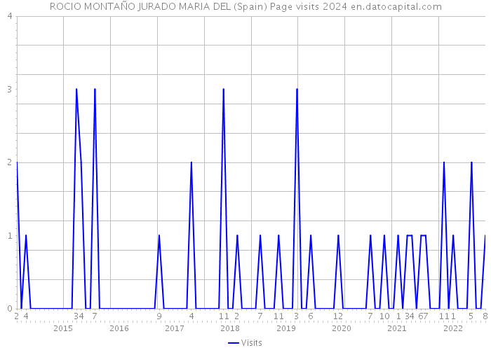 ROCIO MONTAÑO JURADO MARIA DEL (Spain) Page visits 2024 