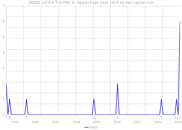 DESDE 1979 A TUS PIES SL (Spain) Page visits 2024 