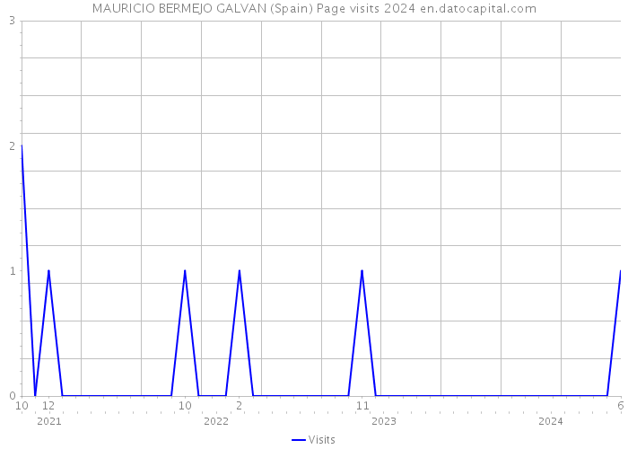 MAURICIO BERMEJO GALVAN (Spain) Page visits 2024 